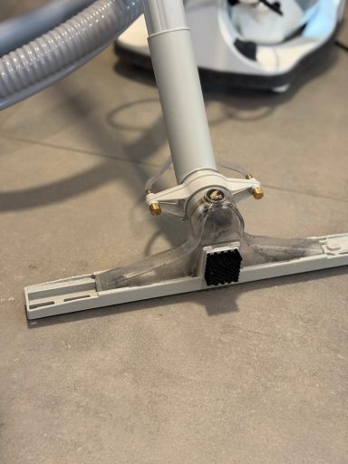 NASSREINIGUNG Delphin Nassreinigung mit dem Flipper